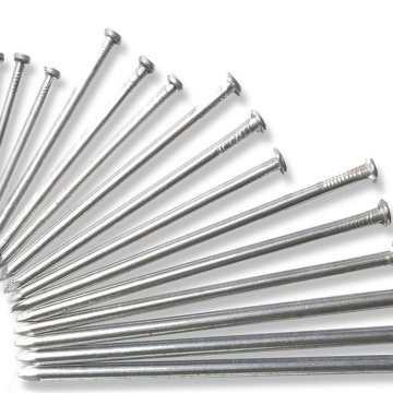 Construction Nail